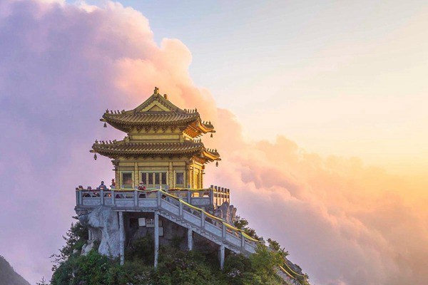 通过车牌号查违章 通过车牌号查违章公众号？-第2张图片-好运车牌网